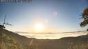 ./images/calvert/fitz-hugh-hecate/20260526/fitz-hugh-hecate20260526_062501M.jpg