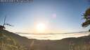 ./images/calvert/fitz-hugh-hecate/20260526/fitz-hugh-hecate20260526_063001M.jpg