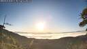 ./images/calvert/fitz-hugh-hecate/20260526/fitz-hugh-hecate20260526_063501M.jpg
