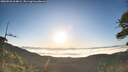 ./images/calvert/fitz-hugh-hecate/20260526/fitz-hugh-hecate20260526_064002M.jpg