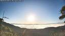 ./images/calvert/fitz-hugh-hecate/20260526/fitz-hugh-hecate20260526_064501M.jpg