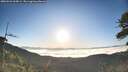 ./images/calvert/fitz-hugh-hecate/20260526/fitz-hugh-hecate20260526_065001M.jpg