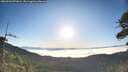./images/calvert/fitz-hugh-hecate/20260526/fitz-hugh-hecate20260526_071001M.jpg
