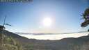 ./images/calvert/fitz-hugh-hecate/20260526/fitz-hugh-hecate20260526_071501M.jpg