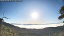 ./images/calvert/fitz-hugh-hecate/20260526/fitz-hugh-hecate20260526_072002M.jpg
