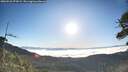 ./images/calvert/fitz-hugh-hecate/20260526/fitz-hugh-hecate20260526_073001M.jpg