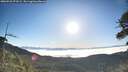 ./images/calvert/fitz-hugh-hecate/20260526/fitz-hugh-hecate20260526_073501M.jpg
