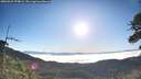 ./images/calvert/fitz-hugh-hecate/20260526/fitz-hugh-hecate20260526_074001M.jpg