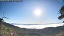 ./images/calvert/fitz-hugh-hecate/20260526/fitz-hugh-hecate20260526_075001M.jpg
