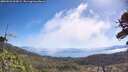 ./images/calvert/fitz-hugh-hecate/20260526/fitz-hugh-hecate20260526_103002M.jpg