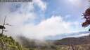 ./images/calvert/fitz-hugh-hecate/20260526/fitz-hugh-hecate20260526_103502M.jpg