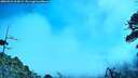 ./images/calvert/fitz-hugh-hecate/20260526/fitz-hugh-hecate20260526_104501M.jpg