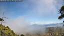 ./images/calvert/fitz-hugh-hecate/20260526/fitz-hugh-hecate20260526_131501M.jpg