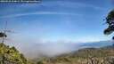 ./images/calvert/fitz-hugh-hecate/20260526/fitz-hugh-hecate20260526_134002M.jpg