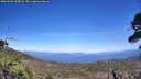 ./images/calvert/fitz-hugh-hecate/20260526/fitz-hugh-hecate20260526_144001M.jpg