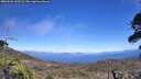 ./images/calvert/fitz-hugh-hecate/20260526/fitz-hugh-hecate20260526_145501M.jpg