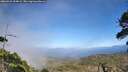 ./images/calvert/fitz-hugh-hecate/20260526/fitz-hugh-hecate20260526_154002M.jpg