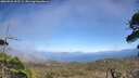 ./images/calvert/fitz-hugh-hecate/20260526/fitz-hugh-hecate20260526_155502M.jpg