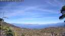./images/calvert/fitz-hugh-hecate/20260526/fitz-hugh-hecate20260526_164501M.jpg