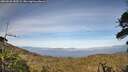 ./images/calvert/fitz-hugh-hecate/20260526/fitz-hugh-hecate20260526_185501M.jpg