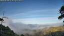 ./images/calvert/fitz-hugh-hecate/20260526/fitz-hugh-hecate20260526_195502M.jpg