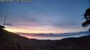 ./images/calvert/fitz-hugh-hecate/20260527/fitz-hugh-hecate20260527_045001M.jpg