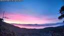 ./images/calvert/fitz-hugh-hecate/20260527/fitz-hugh-hecate20260527_050001M.jpg