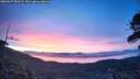 ./images/calvert/fitz-hugh-hecate/20260527/fitz-hugh-hecate20260527_050501M.jpg