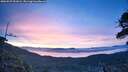 ./images/calvert/fitz-hugh-hecate/20260527/fitz-hugh-hecate20260527_051002M.jpg