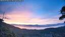 ./images/calvert/fitz-hugh-hecate/20260527/fitz-hugh-hecate20260527_051501M.jpg
