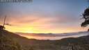./images/calvert/fitz-hugh-hecate/20260527/fitz-hugh-hecate20260527_052501M.jpg