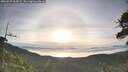 ./images/calvert/fitz-hugh-hecate/20260527/fitz-hugh-hecate20260527_064501M.jpg