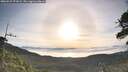./images/calvert/fitz-hugh-hecate/20260527/fitz-hugh-hecate20260527_072002M.jpg