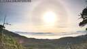 ./images/calvert/fitz-hugh-hecate/20260527/fitz-hugh-hecate20260527_074001M.jpg