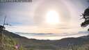 ./images/calvert/fitz-hugh-hecate/20260527/fitz-hugh-hecate20260527_075001M.jpg