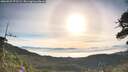 ./images/calvert/fitz-hugh-hecate/20260527/fitz-hugh-hecate20260527_075501M.jpg
