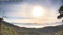 ./images/calvert/fitz-hugh-hecate/20260527/fitz-hugh-hecate20260527_080002M.jpg