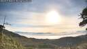 ./images/calvert/fitz-hugh-hecate/20260527/fitz-hugh-hecate20260527_080501M.jpg