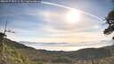 ./images/calvert/fitz-hugh-hecate/20260527/fitz-hugh-hecate20260527_082501M.jpg