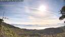 ./images/calvert/fitz-hugh-hecate/20260527/fitz-hugh-hecate20260527_083001M.jpg