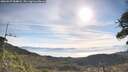 ./images/calvert/fitz-hugh-hecate/20260527/fitz-hugh-hecate20260527_084001M.jpg