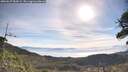 ./images/calvert/fitz-hugh-hecate/20260527/fitz-hugh-hecate20260527_084501M.jpg