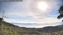./images/calvert/fitz-hugh-hecate/20260527/fitz-hugh-hecate20260527_085001M.jpg