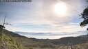 ./images/calvert/fitz-hugh-hecate/20260527/fitz-hugh-hecate20260527_085502M.jpg