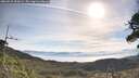 ./images/calvert/fitz-hugh-hecate/20260527/fitz-hugh-hecate20260527_090001M.jpg