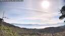 ./images/calvert/fitz-hugh-hecate/20260527/fitz-hugh-hecate20260527_090502M.jpg