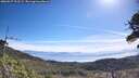 ./images/calvert/fitz-hugh-hecate/20260527/fitz-hugh-hecate20260527_101501M.jpg