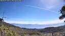 ./images/calvert/fitz-hugh-hecate/20260527/fitz-hugh-hecate20260527_104501M.jpg