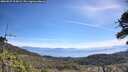 ./images/calvert/fitz-hugh-hecate/20260527/fitz-hugh-hecate20260527_105002M.jpg
