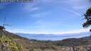 ./images/calvert/fitz-hugh-hecate/20260527/fitz-hugh-hecate20260527_111001M.jpg